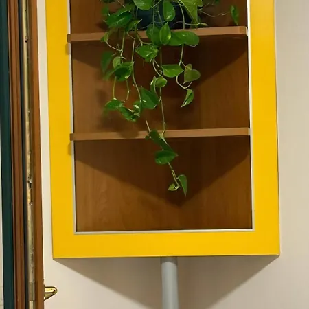 Apartment “stadium”