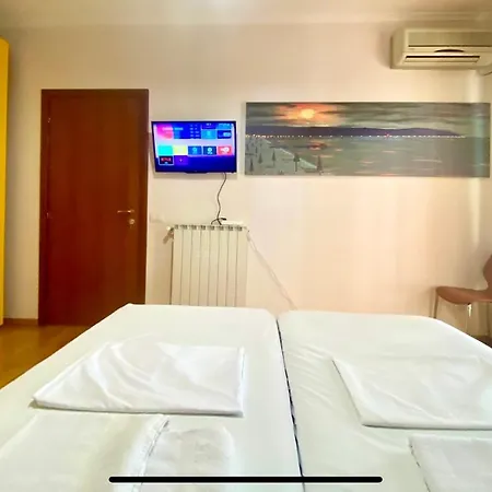 “stadium” * ティラナ